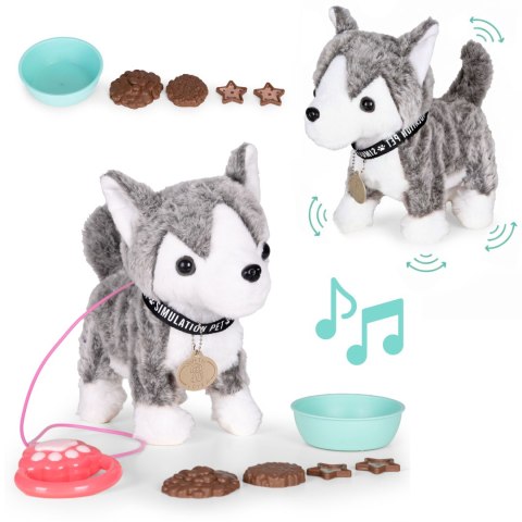 Interaktywny piesek na smyczy husky chodzi i merda ogonem melodyjki MULTISTORE