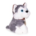 Pluszowy piesek w torebce husky maskotka dla dziecka + szczotka do pielęgnacji MULTISTORE