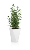 Designerska donica MONUMO VASO Biała MONUMO