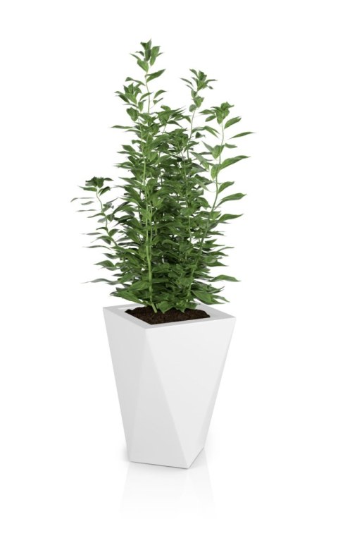 Designerska donica MONUMO VASO Biała MONUMO Designerska donica MONUMO VASO Biała MONUMO