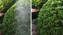 Opryskiwacz ciśnieniowy 8L ogrodowy ręczny 2.2-2.5 bar długa lanca pompa tłokowa MultiGarden MultiGarden