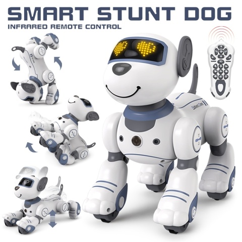 Robot Pies. Programowanie zdalnego sterowania.