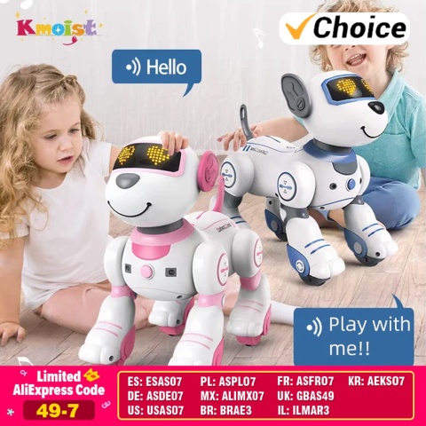 Robot Pies. Programowanie zdalnego sterowania.