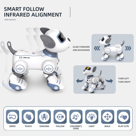 Robot Pies. Programowanie zdalnego sterowania.