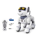 Robot Pies. Programowanie zdalnego sterowania.