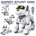 Robot Pies. Programowanie zdalnego sterowania.