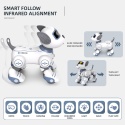 Robot Pies. Programowanie zdalnego sterowania.